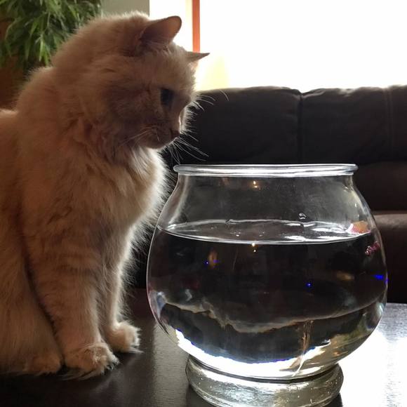 Meet your Posher, Christen - Picture 1 of 1